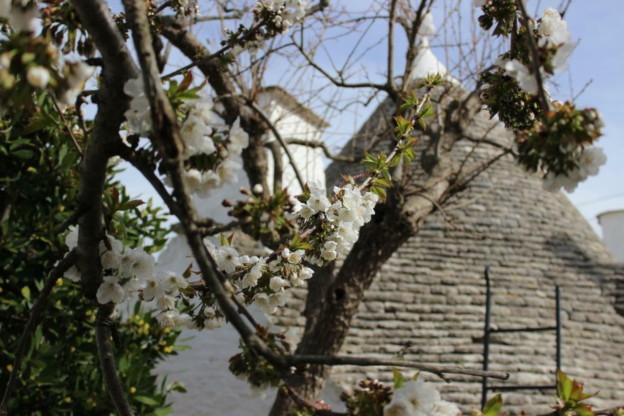 Willa Trullo "Vicolo Fiorito" Alberobello Zewnętrze zdjęcie
